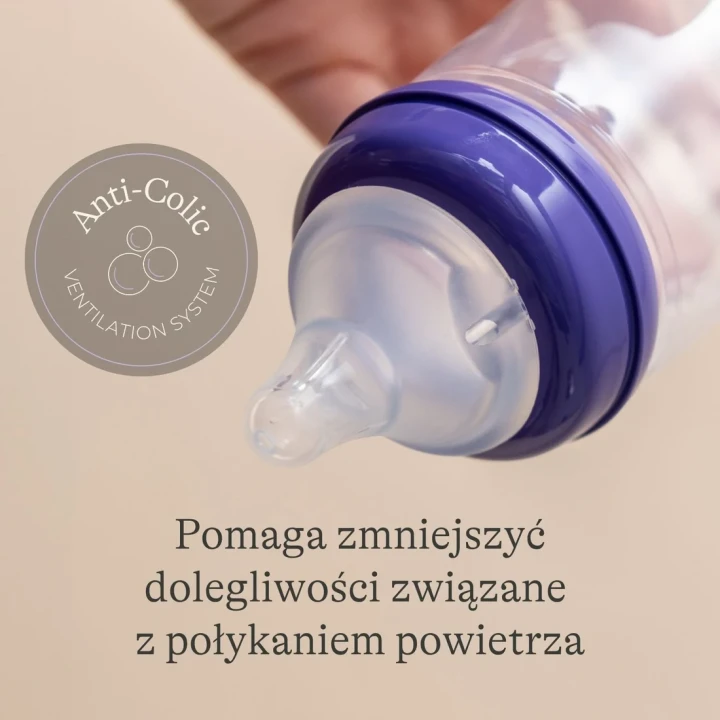 smoczki1_1100x.webp