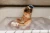 730A7490.webp