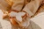 730A9239_11zon.webp